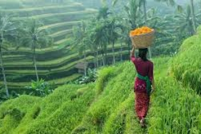 Descubrir Bali - Indonesia En 10 Días